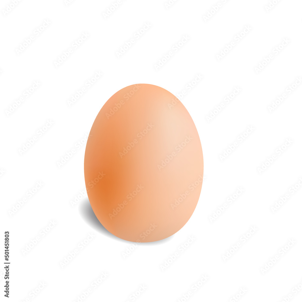 Realistic chicken egg on white background vector illustration Realistic chicken egg on white background vector illustration