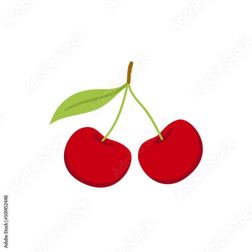 Bunch of fresh cherry berries. Summer sweet juicy fruits, healthy garden harvest, cherries for ice cream and cake, red farmer berry, cherry trees orchard vector illustration
