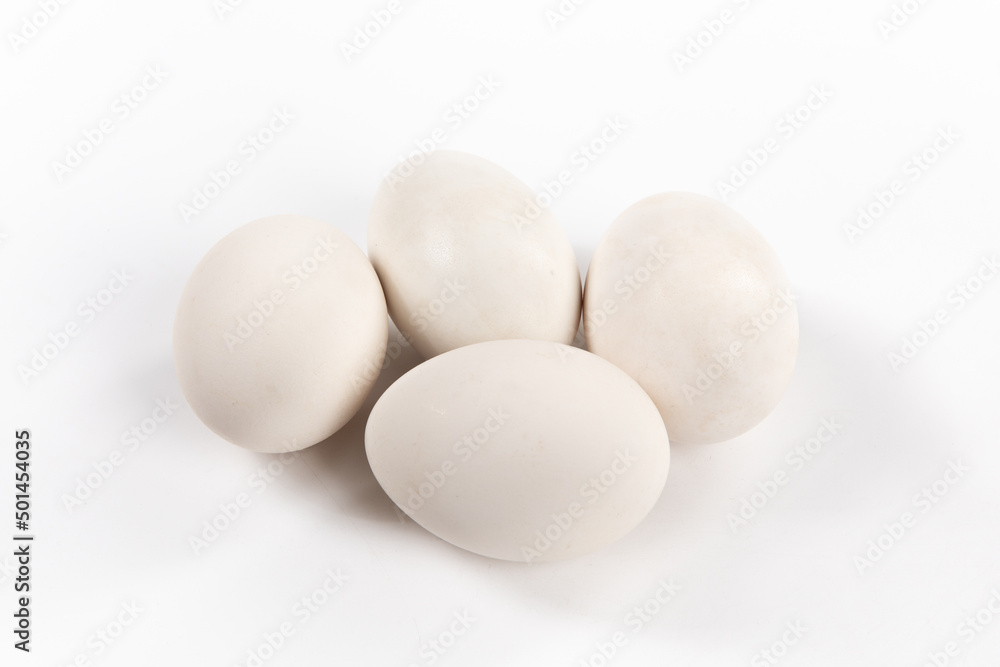 goose eggs isolated on white background goose eggs isolated on white background