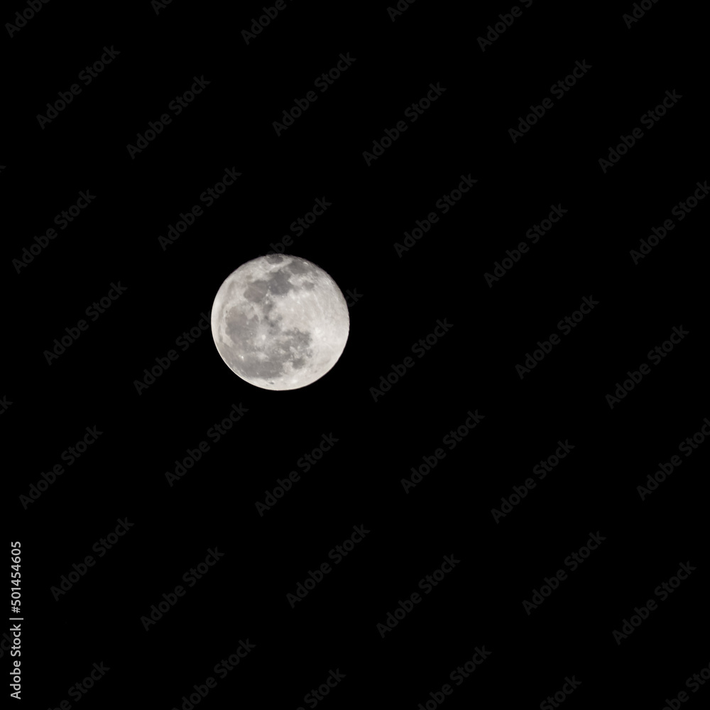 Obraz premium Moon Timelapse, Stock time lapse : Full moon rise in dark nature sky, night time. Full moon disk time lapse with moon light up in night dark black sky. High-quality free video footage or timelapse
