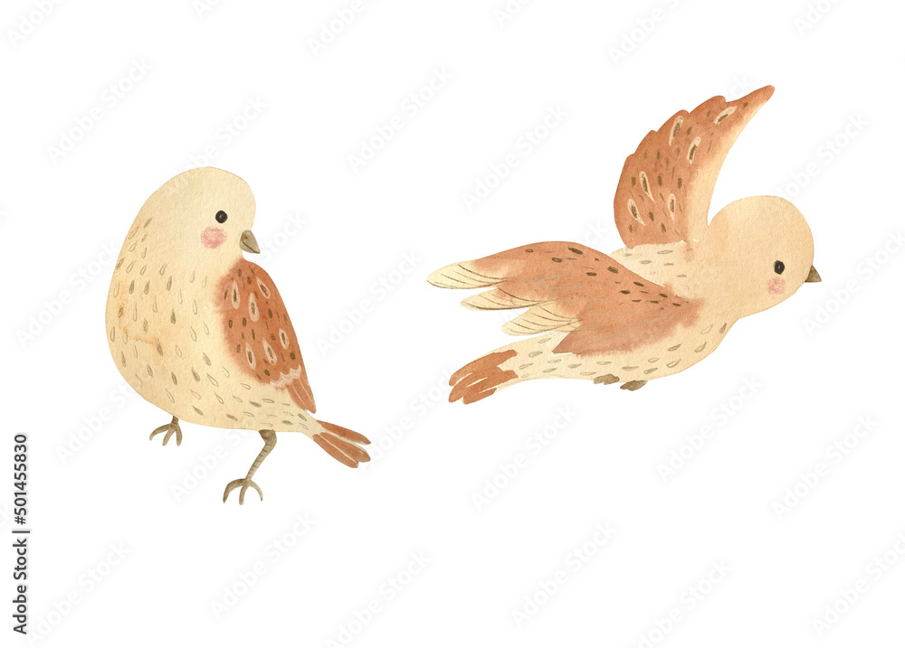 Watercolor bird. Woodland animal illustration for kids