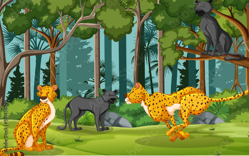 Leopards and black panthers in the forest scene