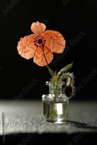 Glass bottle with one red poppy stands on a black stone surface.