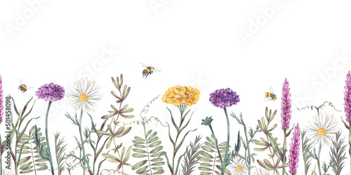 Watercolor hand drawn seamless pattern with illustration of wild flowers. Floral elements chamomile herbs, bumblebees isolated on white background. Beautiful meadow flowers