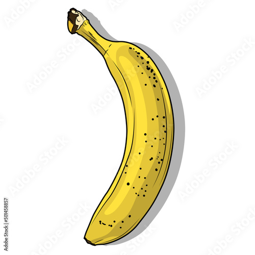 Fotografie Banana