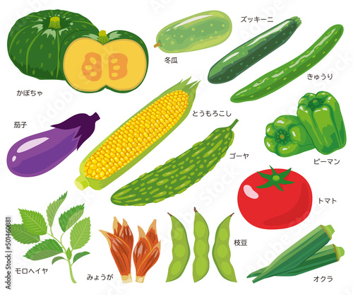 夏野菜セット