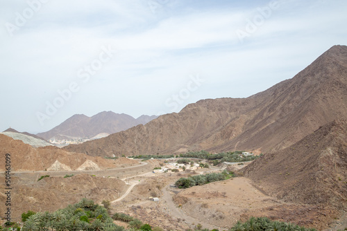 desert path with mountains and valleys dry out of focus with grain