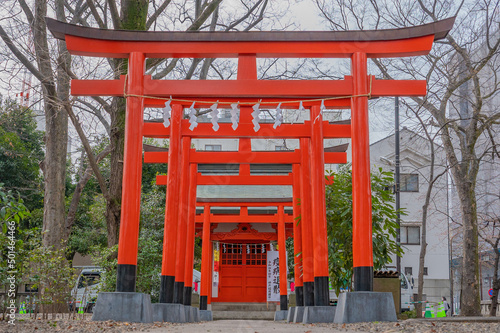 Foto 神社の鳥居