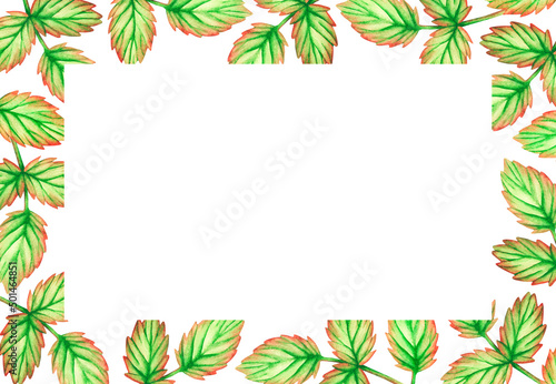 Rectangular frame made of leaves. Watercolor illustration Isolated on a white background.For design.
