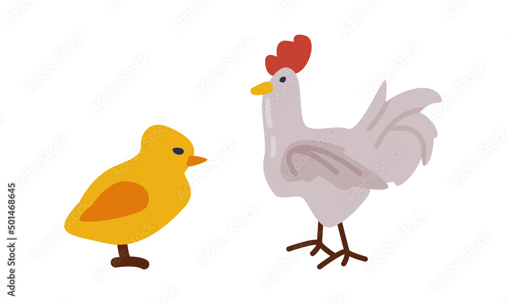 Hen and chicken. Farm poultry breeding, Agricultural industry cartoon vector illustration