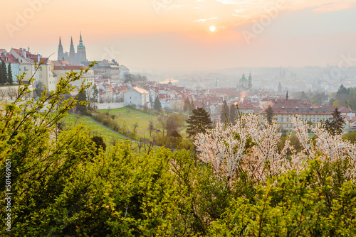 Fotografie view of Prague Castle at sunrise from the blossoming Petřín Gardens