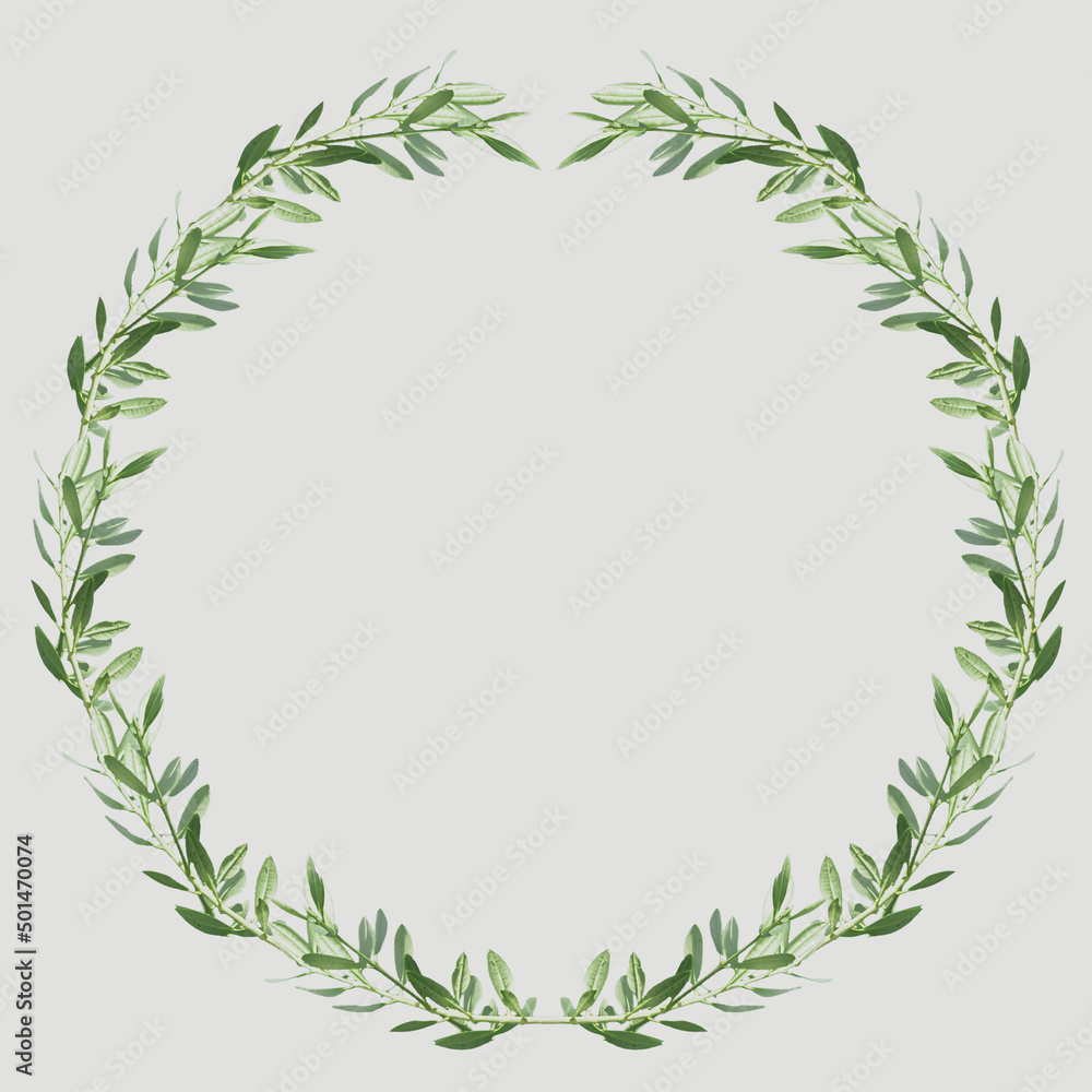 Couronne de feuilles d’oliviers Couronne de feuilles d’oliviers