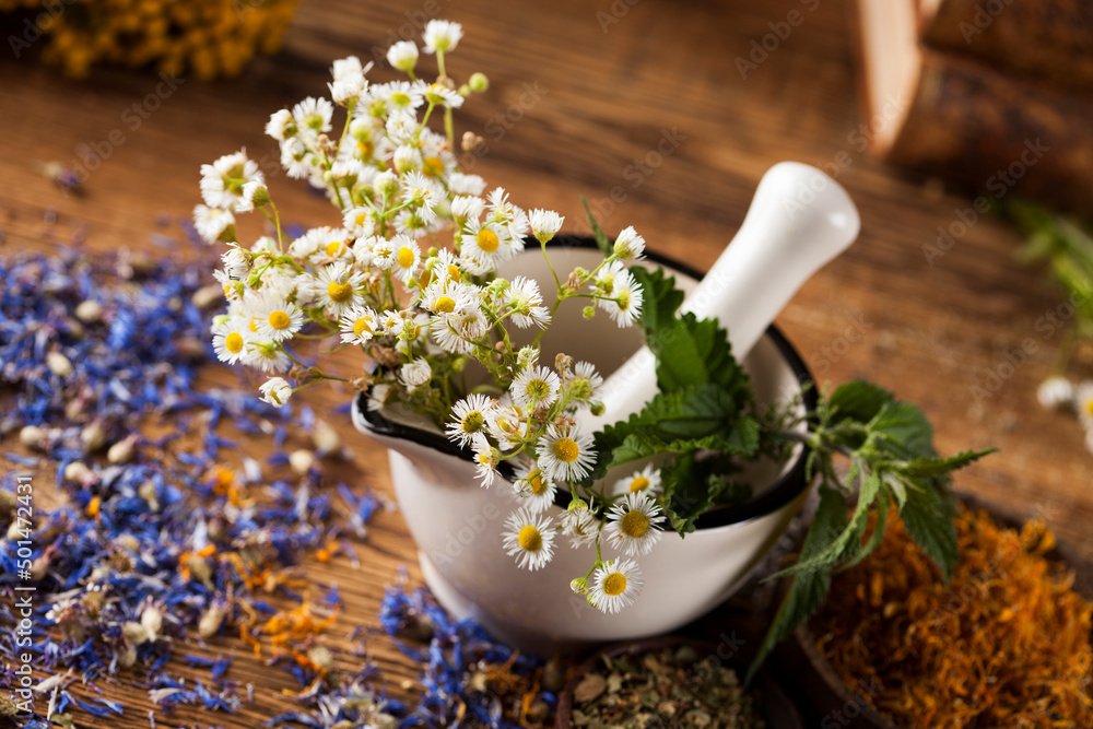 Herbal medicine on wooden desk background Herbal medicine on wooden desk background