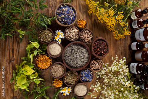 Obraz na plátně Herbal medicine on wooden desk background