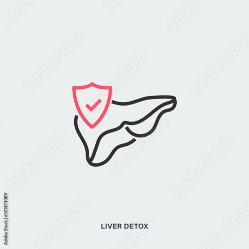 Liver detox outline vector icon. Isolated linear picture of liver and shield
