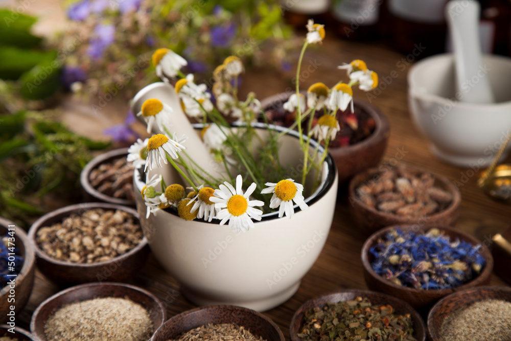 Alternative medicine, dried herbs and mortar on wooden desk background