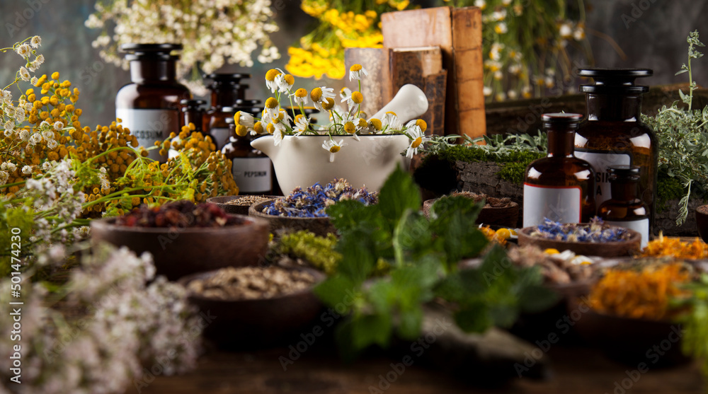 Alternative medicine, dried herbs and mortar on wooden desk background Alternative medicine, dried herbs and mortar on wooden desk background