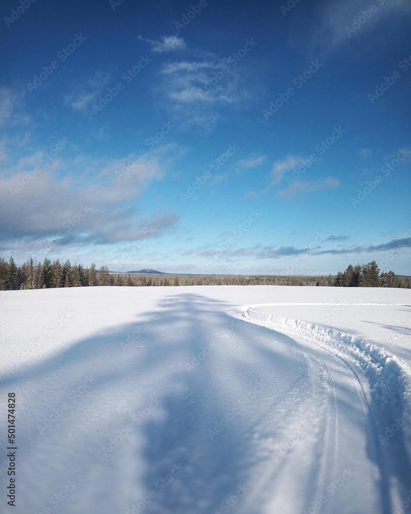 Snow plain with tree shadow in northern Sweden Snow plain with tree shadow in northern Sweden