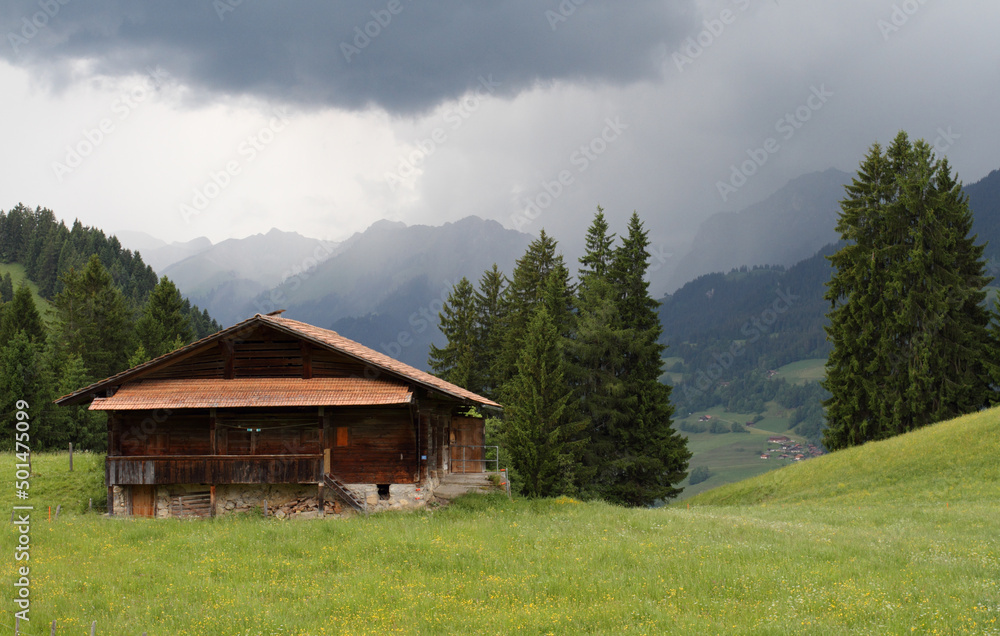 Wooden hut on the slope of the forest-covered mountains in the Swiss Alps under dramatic clouds Wooden hut on the slope of the forest-covered mountains in the Swiss Alps under dramatic clouds