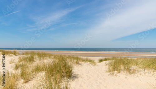 Fototapeta Naklejka Na Ścianę i Meble -  sand dunes in the coast of Nord Sea in Netherlands