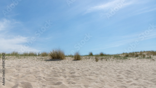 Fototapeta Naklejka Na Ścianę i Meble -  beach landscape of Nord Sea in Netherlands