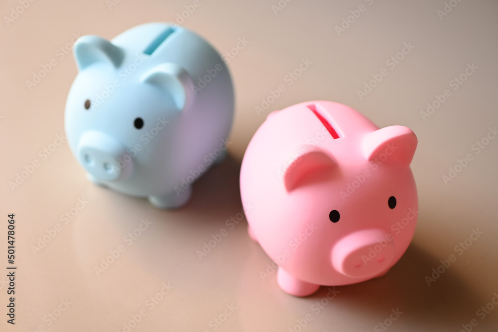 Piggy bank on floor background, two pink and blue piggy bank saving money for education study or investment concept