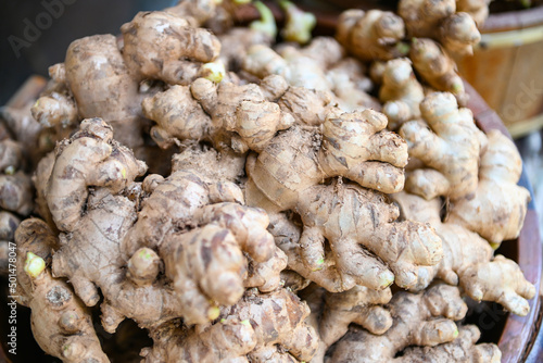 Fresh organic ginger on fresh market in thailand, fresh ginger plant farm harvest ginger root on field agricultural for sold in the market