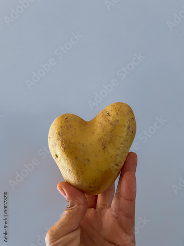 Heart potato. Tuber on plain background. Heart-shaped potato held at its base by a hand. Concept of healthy eating and organic products.