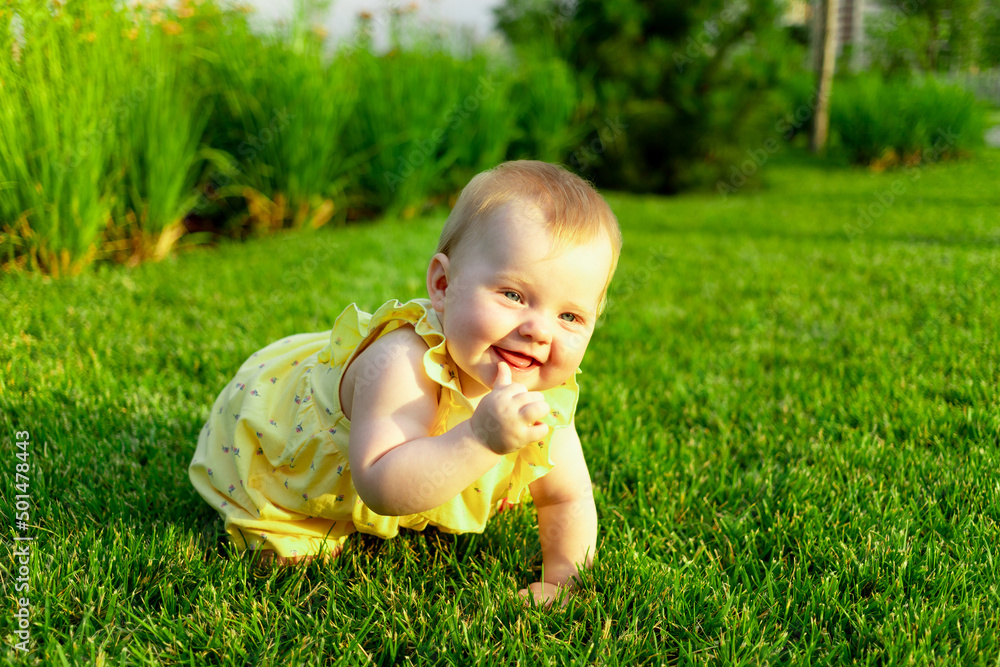 happy baby girl crawls and walks on the green lawn in the summer in the park happy baby girl crawls and walks on the green lawn in the summer in the park