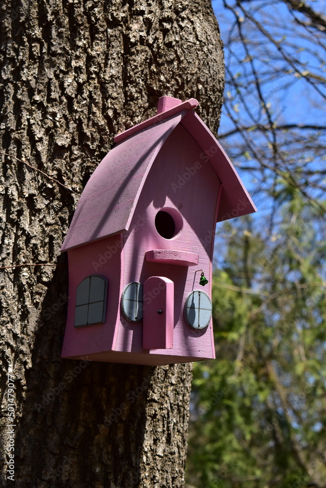 beautiful pink birdhouse on a tree in the park beautiful pink birdhouse on a tree in the park