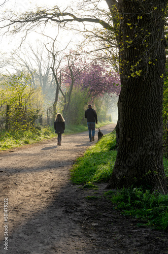  Spaziergang mit Hund am Morgen