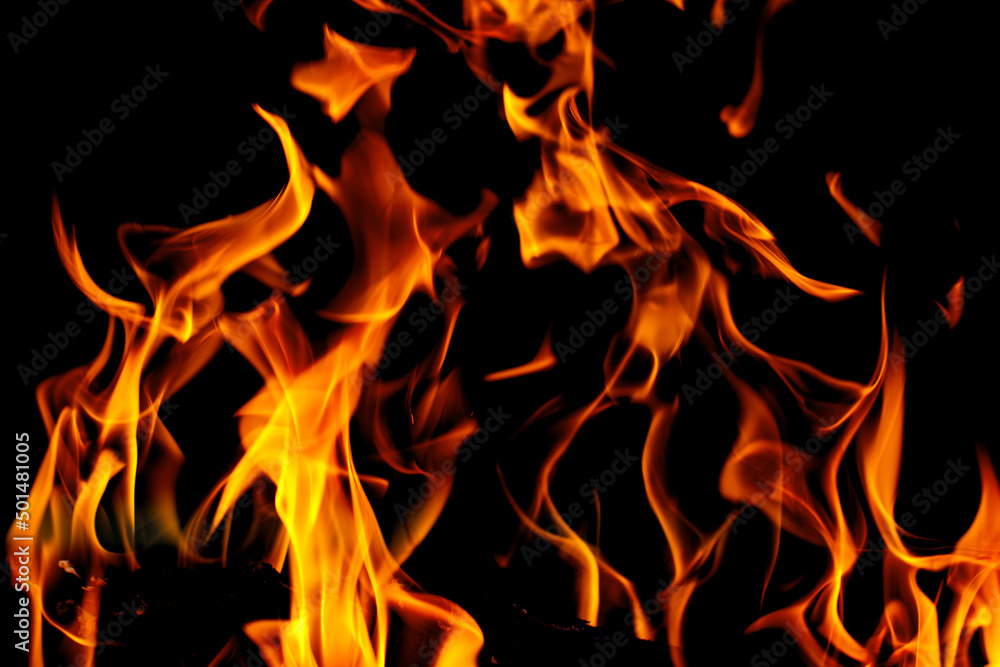 Fototapeta premium fire flames on black background