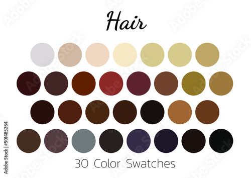 Collection Color palette, swatch color palette, Flat vector illustration