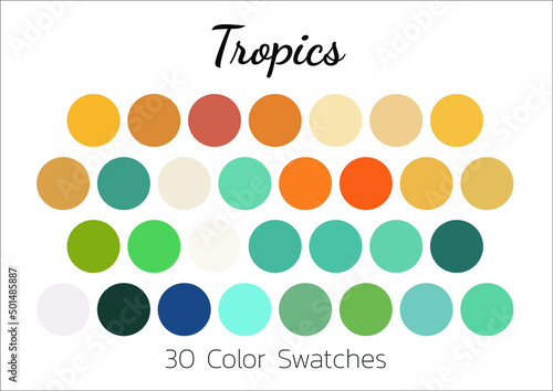 Collection Color palette, swatch color palette, Flat vector illustration