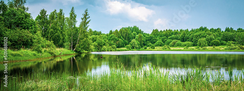 фотографія landscape green lake shore