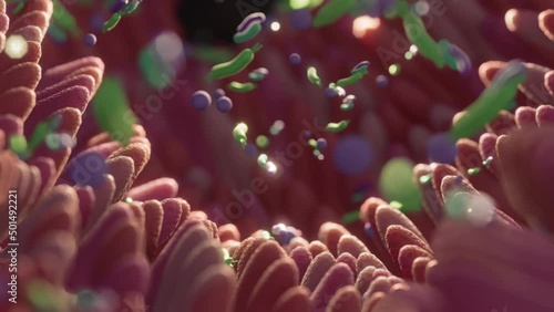 Microbiome intestine factories and microbiota. Gut health 3d render. Microvilli with factories in intestine 