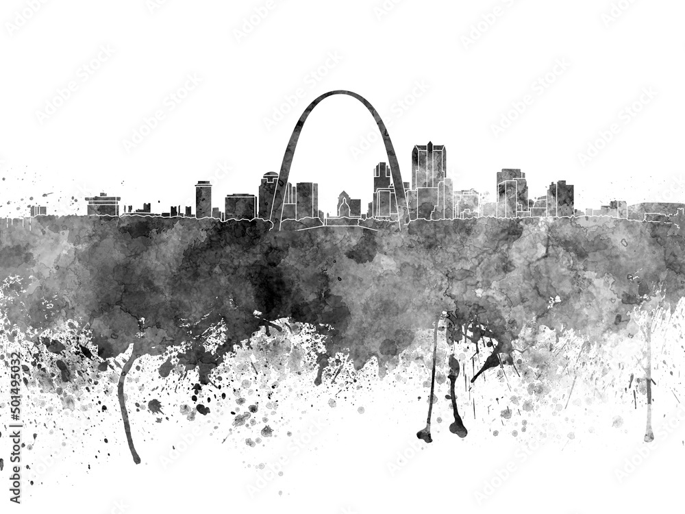 Obraz premium St louis skyline watercolor 
