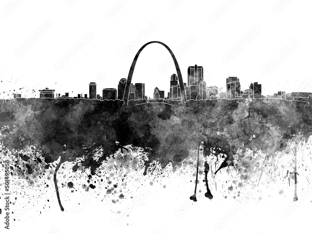 Obraz premium St louis skyline watercolor