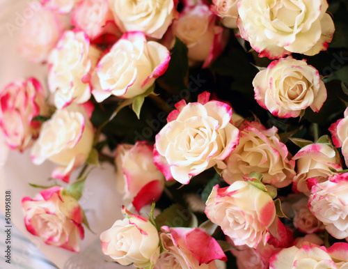 Thriving of full bloom flowerscape  floral visual of live flowers wall  beautiful roses background. Front top photo of a pink roses with selective focus in a bouquet on a soft green background 