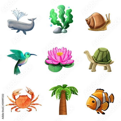 Marine animals, plants and birds. Set of illustrations on white background