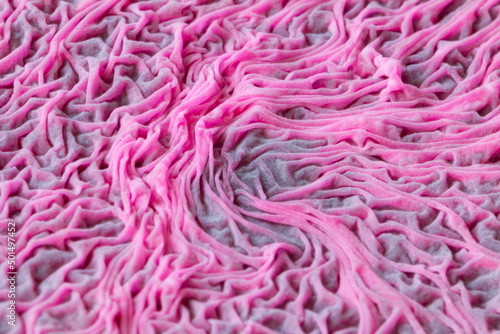 Принти на полотні Close-up abstract image of bacteria starting to form on beet juice