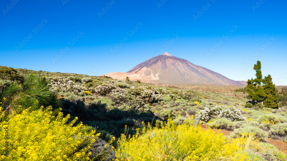 Teide Vulkan auf Teneriffa - Kanarische Inseln, Spanien