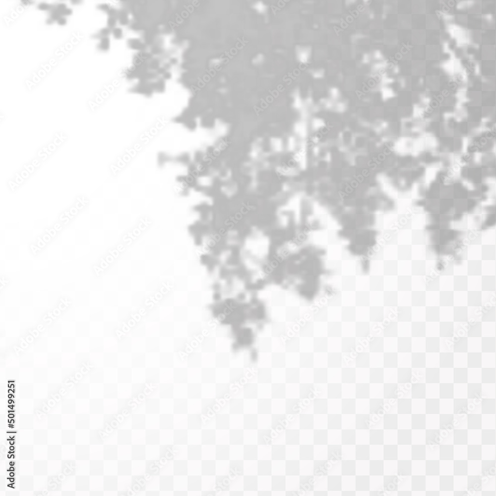 Realistic shadow of tropical leaves or branches on transparent checkered background. The effect of overlaying shadows. Natural light layout. Realistic shadow of tropical leaves or branches on transparent checkered background. The effect of overlaying shadows. Natural light layout.