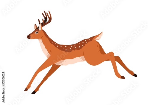 Cute deer jumping, running away. Happy baby reindeer moving. Graceful fawn, spotted horny animal. Pretty lovely woodland character. Colored flat vector illustration isolated on white background