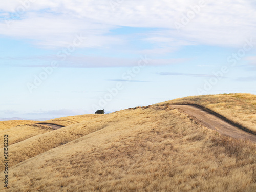 Narrow road in the golden Rolling Hills of Hercules, California