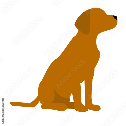golden retriever dog illustration icon