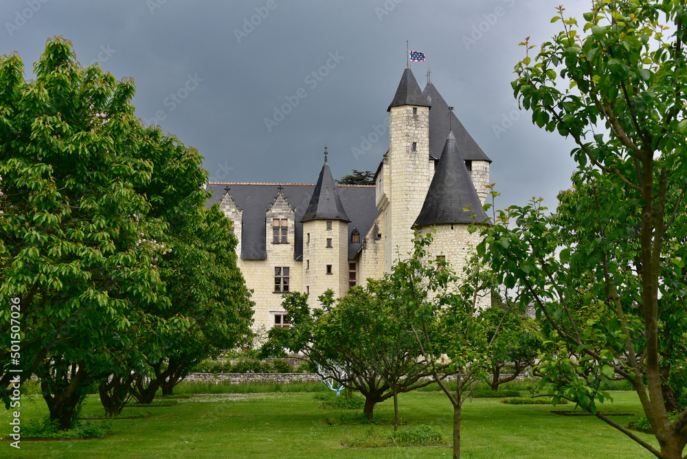 Fototapeta premium Frankreich - Lémeré - Château du Rivau - Parkanlage