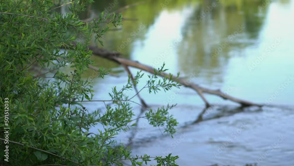 Sunrise on the river. Morning mist at dawn Sunrise on the river. Morning mist at dawn