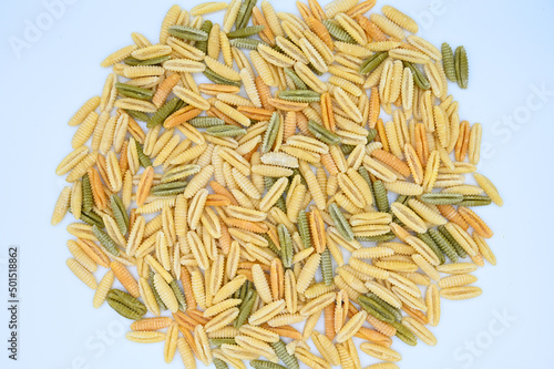 Closeup of colorful raw malloreddus pasta on a white surface photo