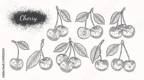 Cherry sketch. Cherry berries set. Black contour of cherries on a white background. Great for labels, poster, prints.